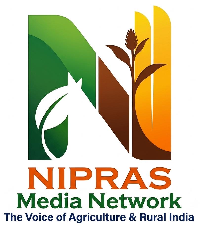 Nipras Media Network Logo