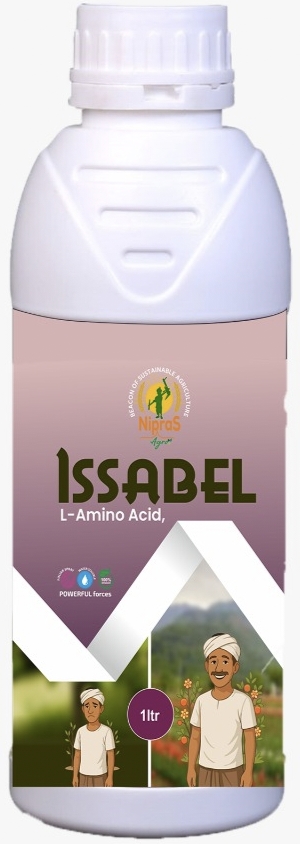 Issabel