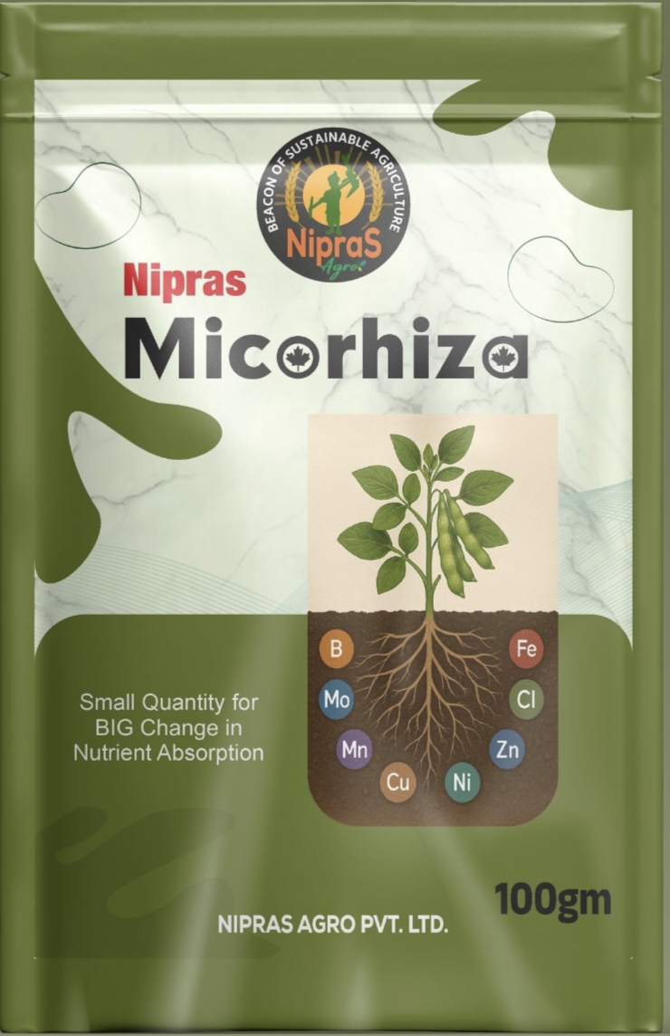 Nipras Micorhiza