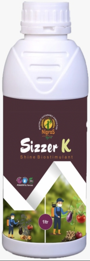 Sizzer K