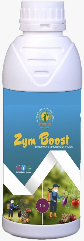 Zyme Boost