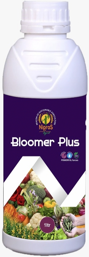 Bloomer Plus